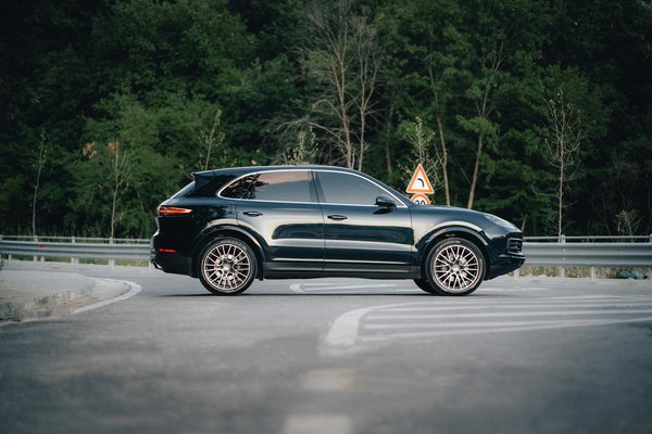Consejos de salud para mascotas que no debes perderte este año