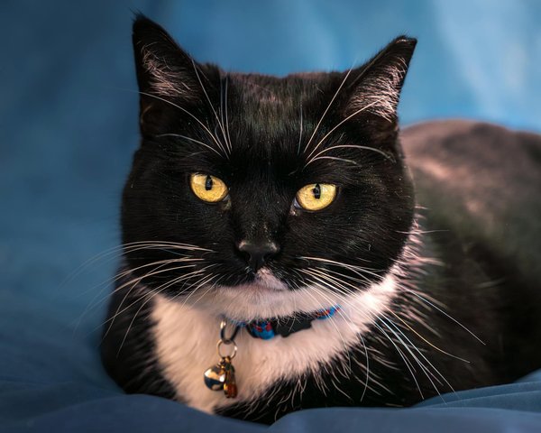 La evolución del deporte para un año exitoso